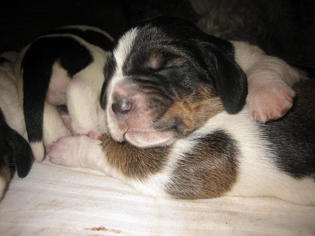 favorable vent_fard a joues_furtif regard